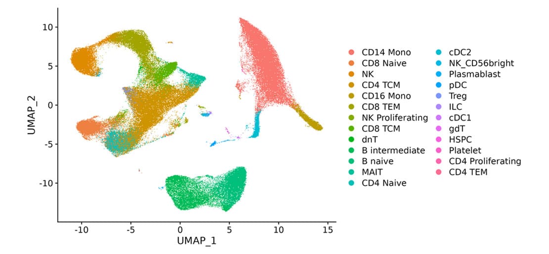 Example clustering data produced from ScaleBio single cell combinatorial indexing of PBMCs