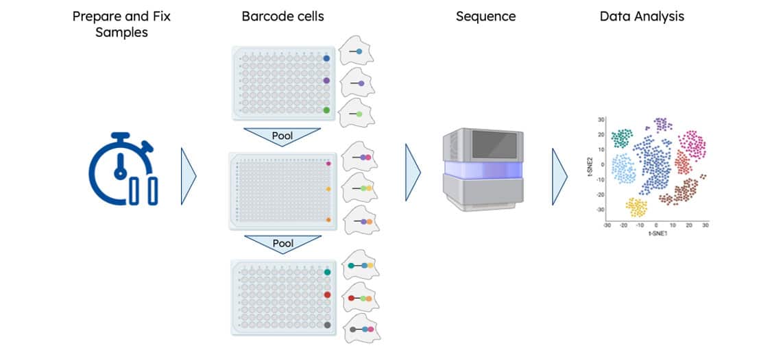 ScaleBio high-throughput single cell sequencing kit workflow diagram