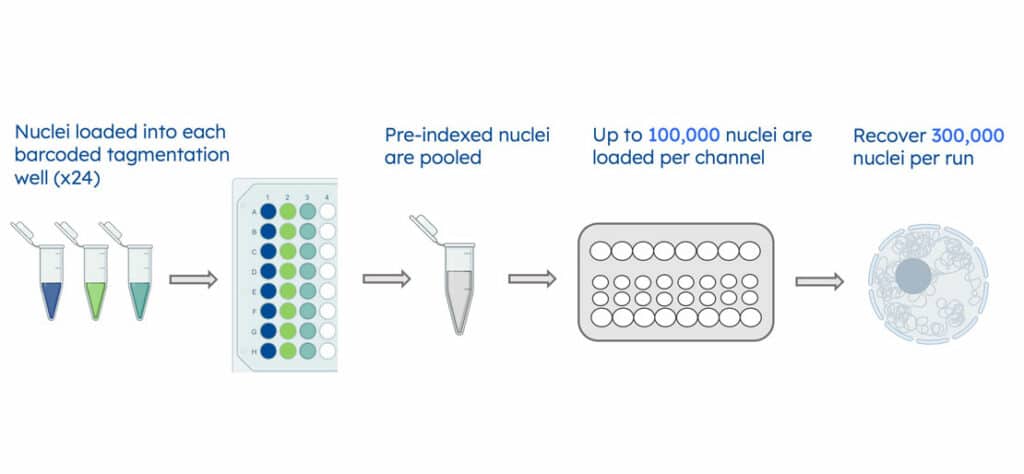 ATAC-Seq Kit | Scale Biosciences