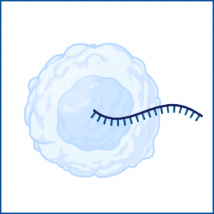 Single Cell RNA-Seq Kit | Scale Biosciences