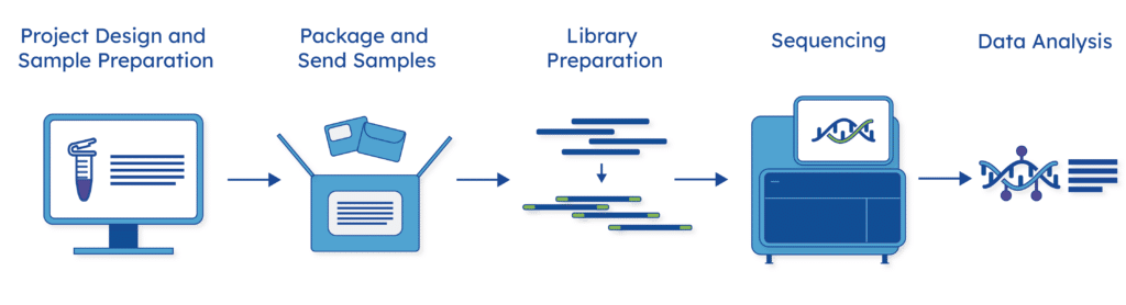 Single-Cell RNA and Methylation Services | Scale Biosciences