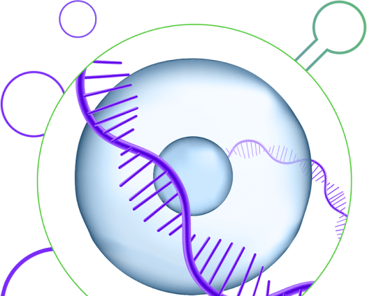 Hero-Section-RNA-Kit-mobile