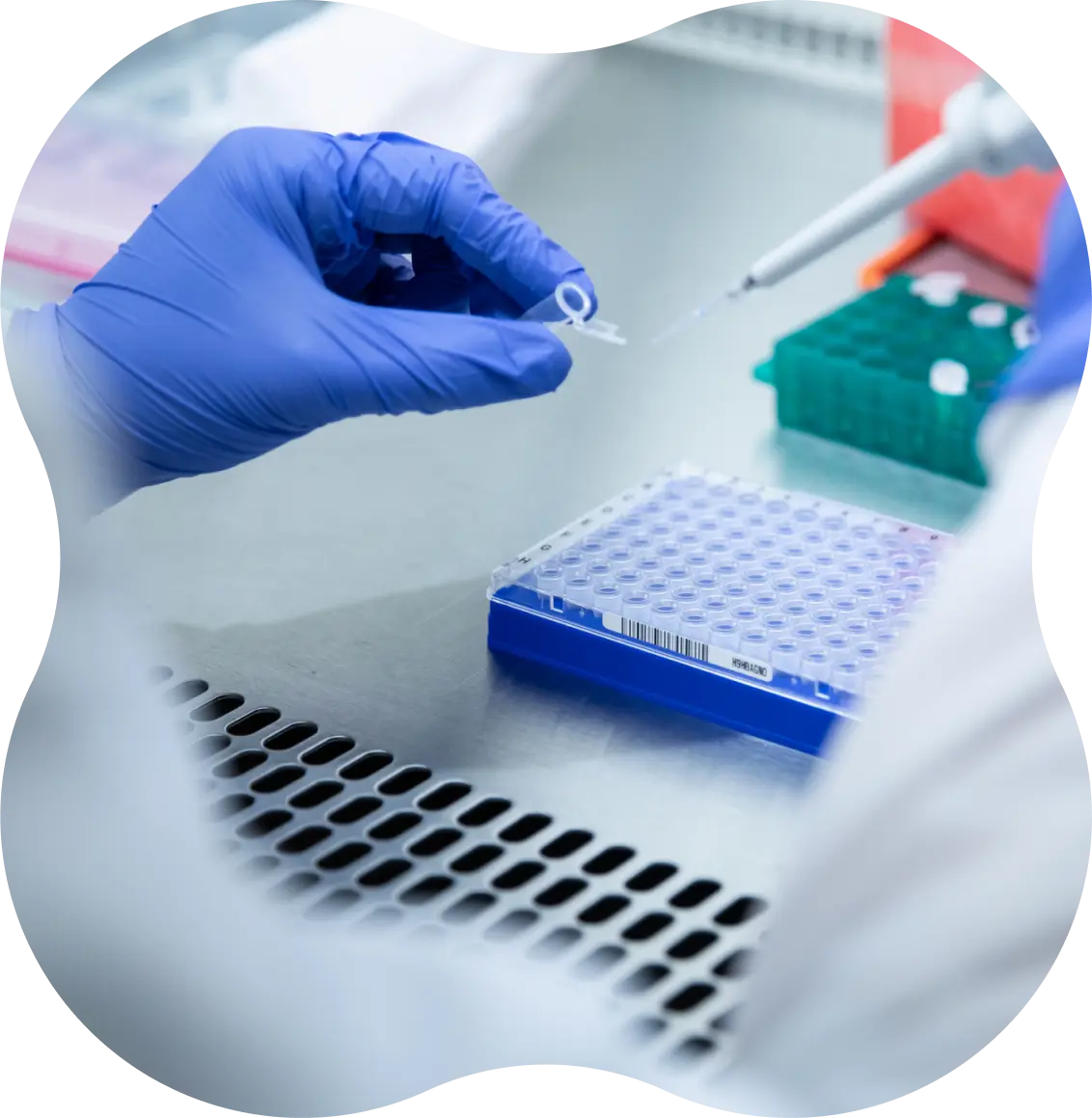 Close up of scientists hands working in a lab