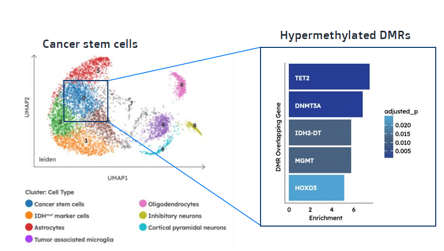 Methylation page dmr figure