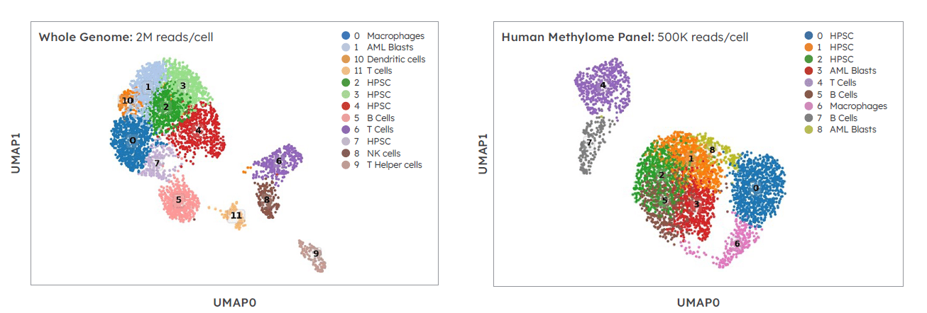 figure 3 methylation prod sheet