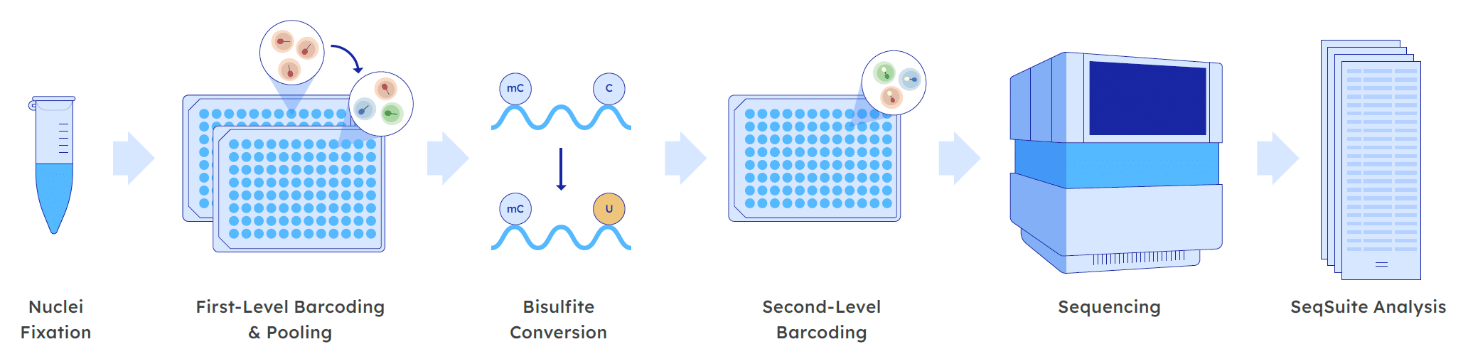 methylation workflow