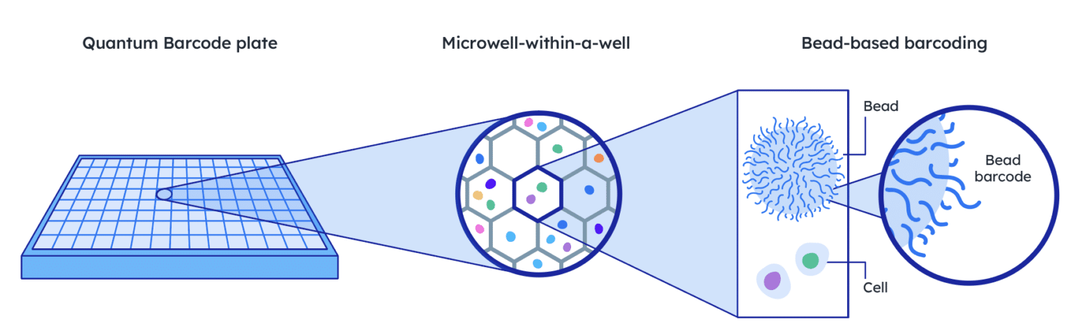 Quantum Barcoding Technology | Scale Biosciences